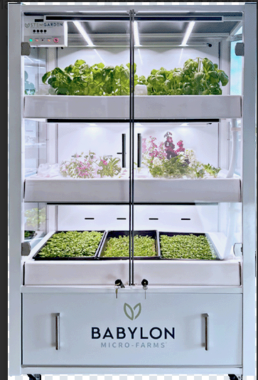 Babylon micro-farms Hydroponics STEM Garden