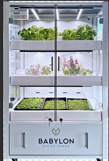 Babylon micro-farms Hydroponics STEM Garden - WhyMaker