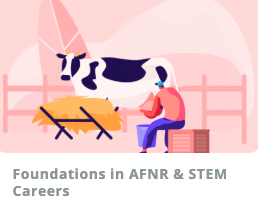 STEM-Fuse "All K-12 Content" 1 year Subscription - WhyMaker