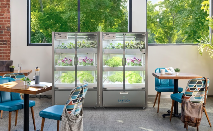 Babylon micro-farms Hydroponics STEM Garden - WhyMaker