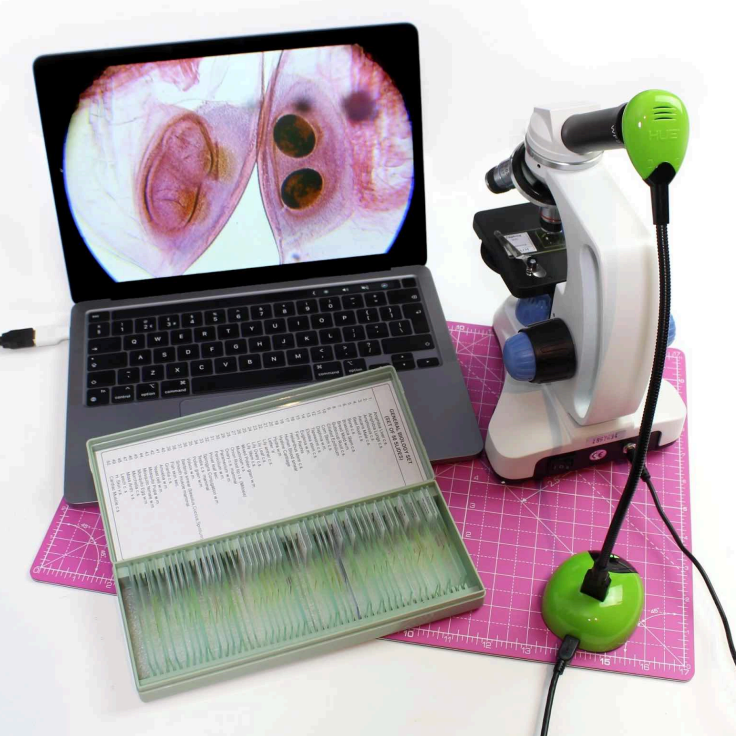 HUE HD (Green) USB camera + blue carry case - WhyMaker