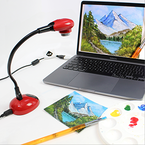 HUE HD (Red) USB camera + blue carry case - WhyMaker