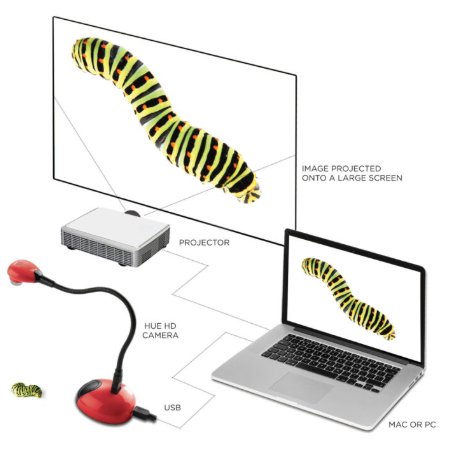 HUE HD (Red) USB camera + blue carry case - WhyMaker